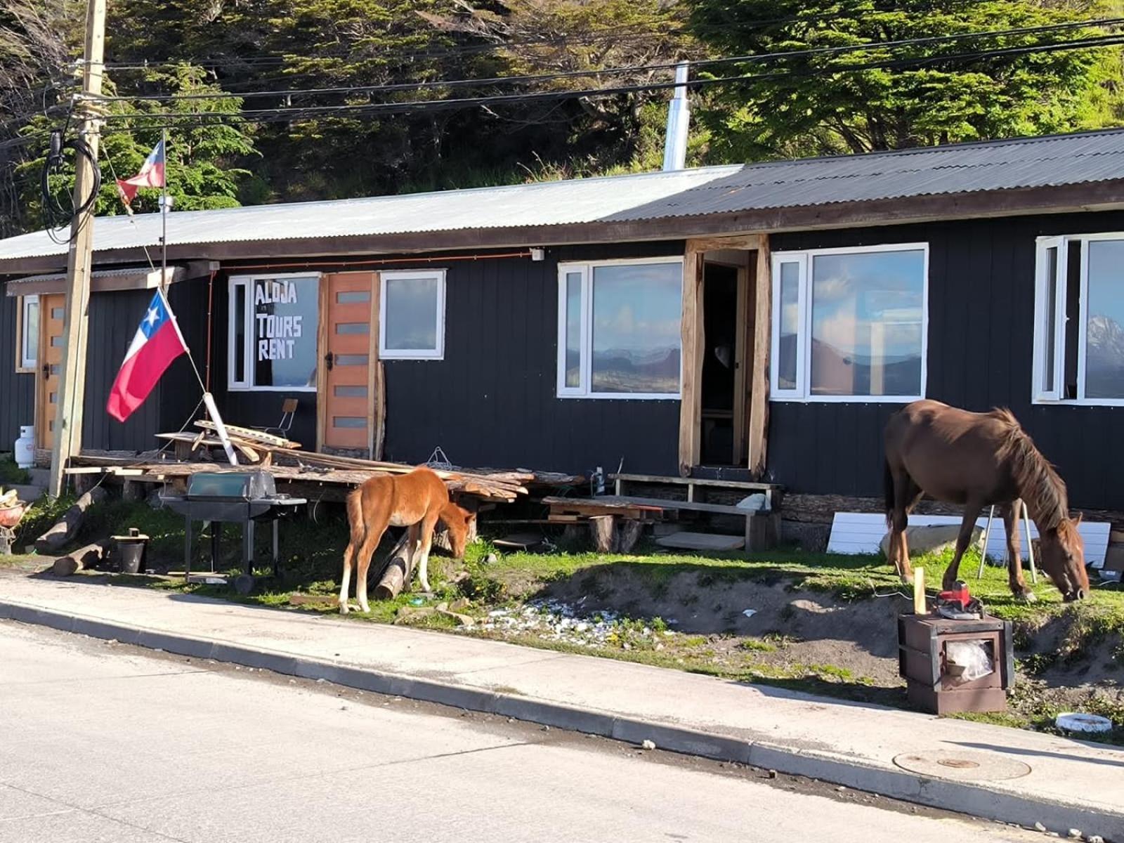 Refugio Jemmy Button Hotel Puerto Williams Buitenkant foto