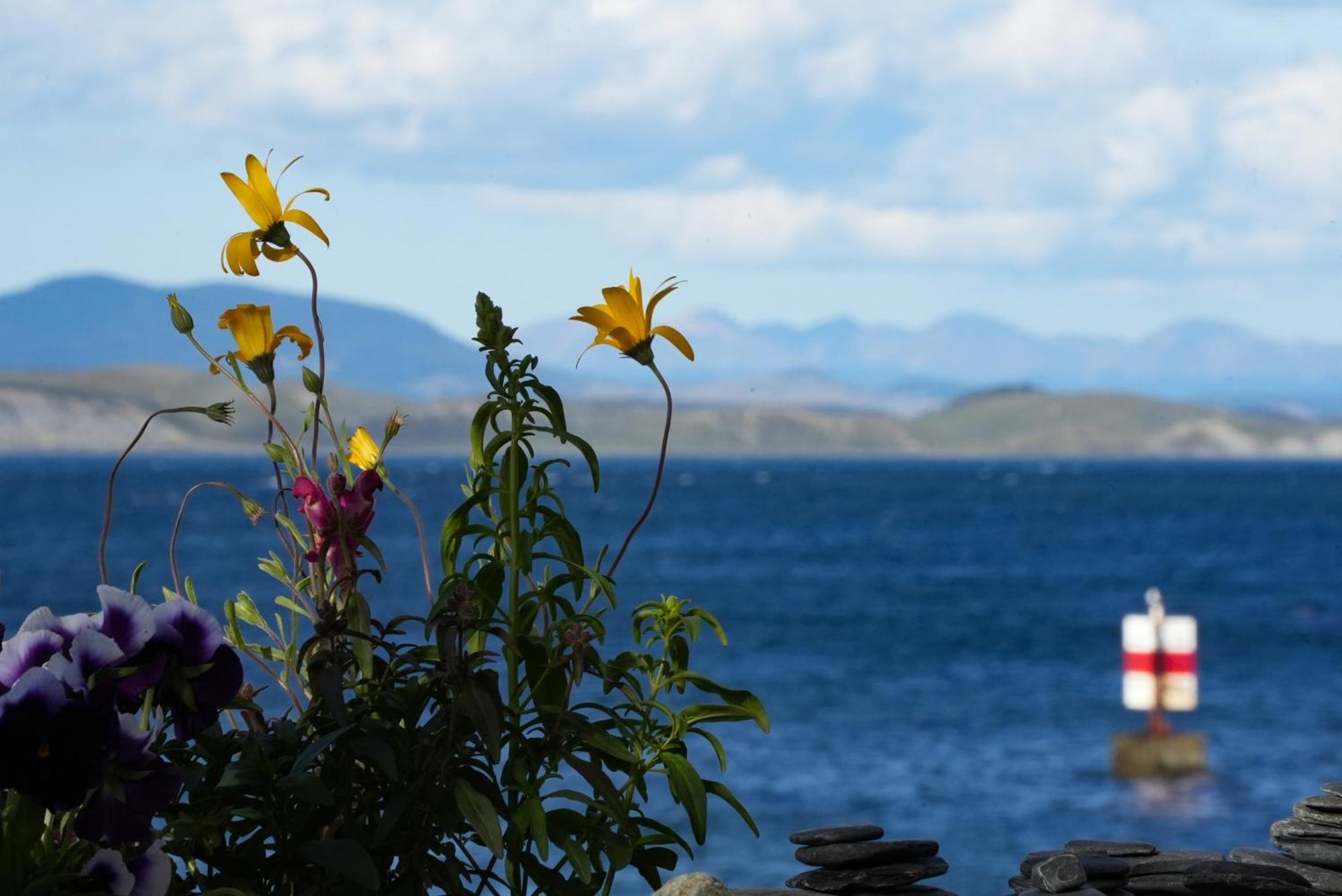 Refugio Jemmy Button Hotel Puerto Williams Buitenkant foto